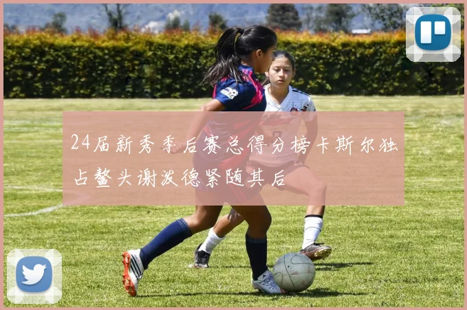 24届新秀季后赛总得分榜卡斯尔独占鳌头谢泼德紧随其后