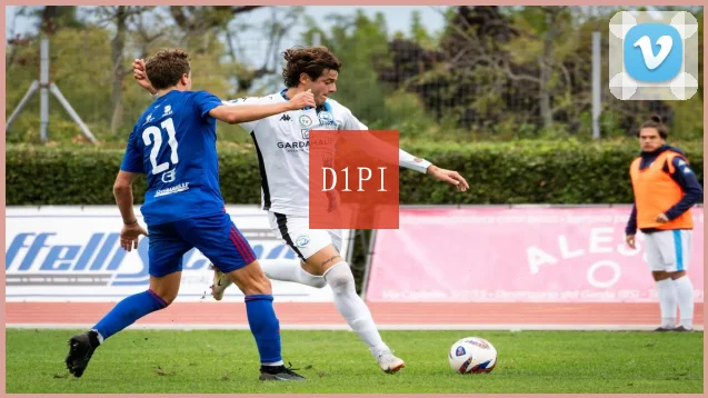 D1PI